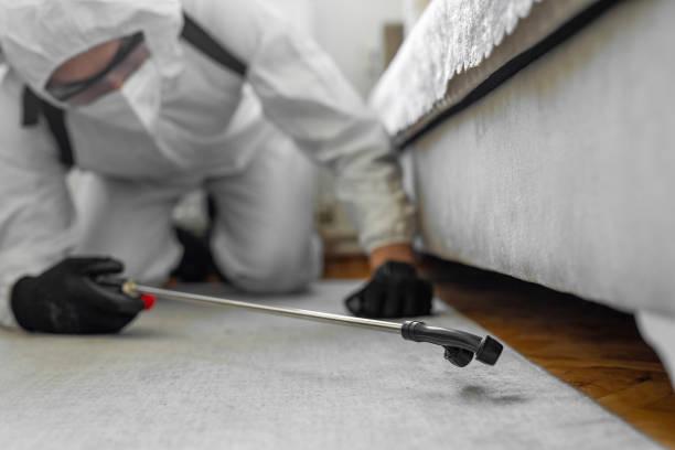 Professional Bed Bug Control technician working in Little Silver, NJ