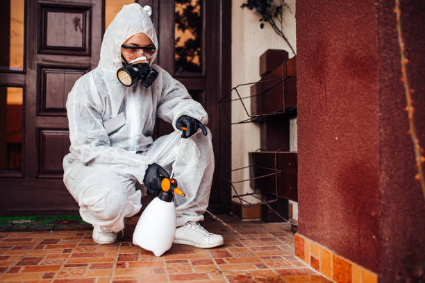 Reliable Bed Bug Control contractor in Little Silver, NJ by Nex Pest Control